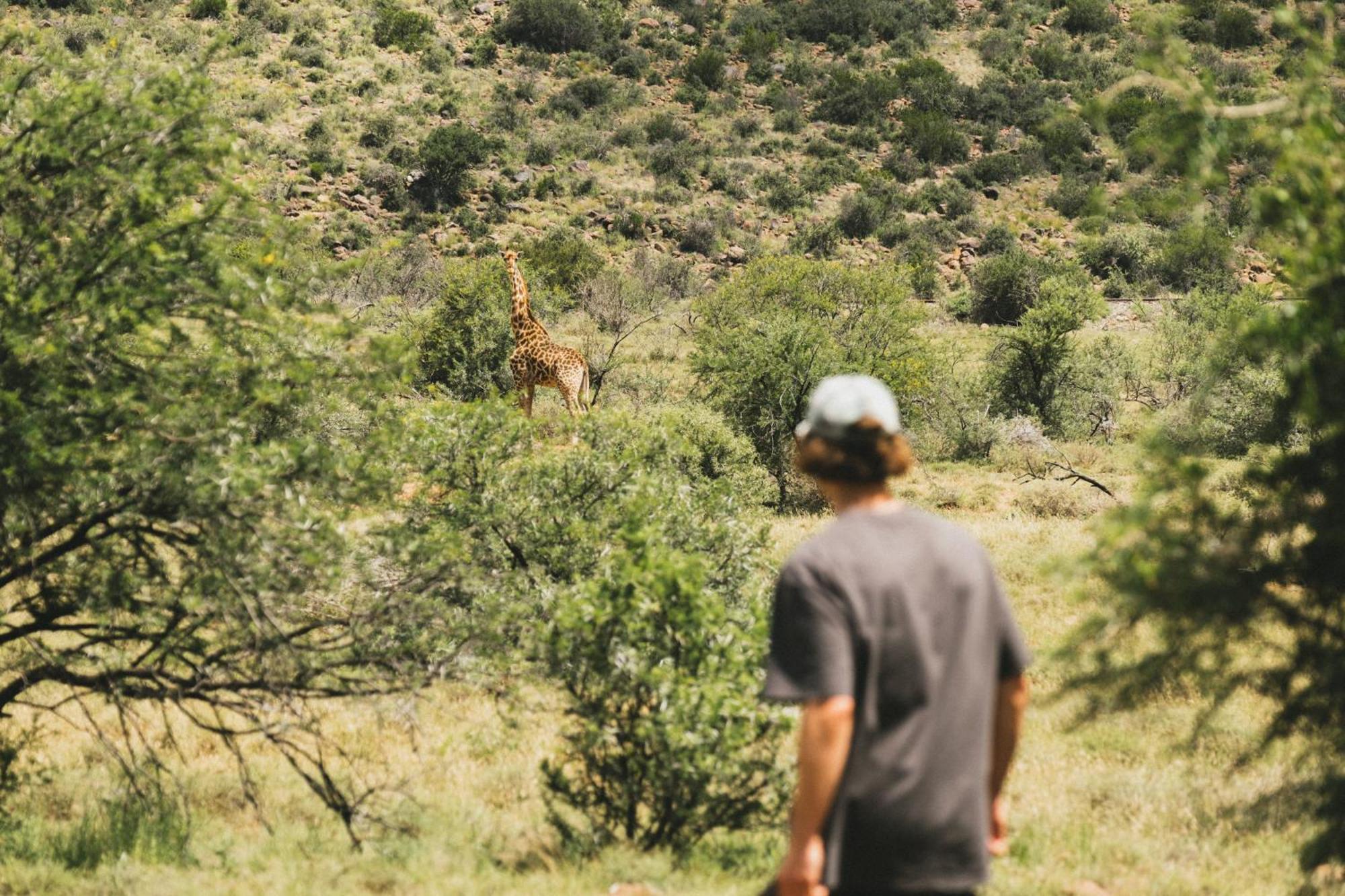 Buccara Wildlife Reserve Graaff-Reinet Kültér fotó