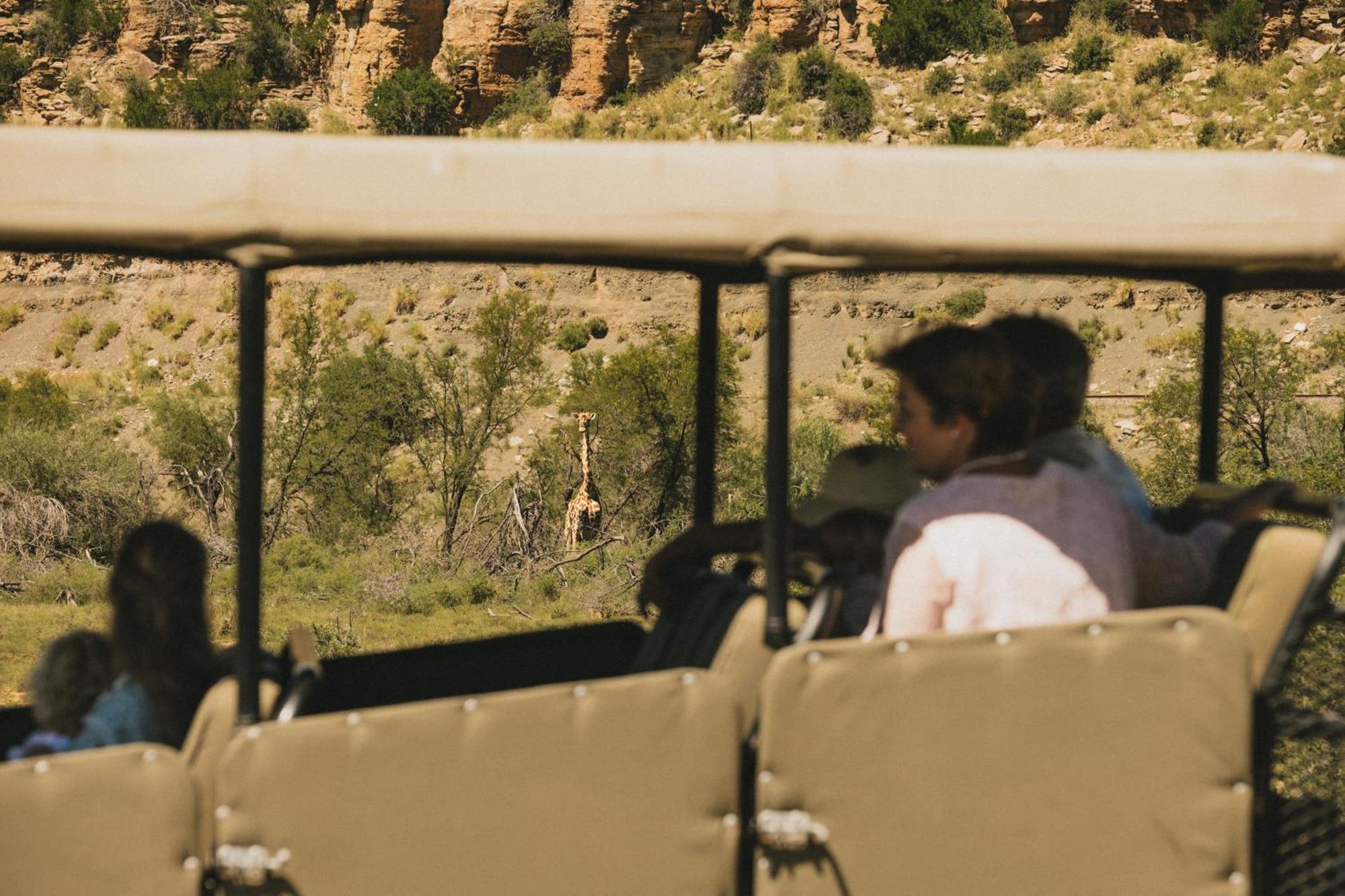 Buccara Wildlife Reserve Graaff-Reinet Kültér fotó