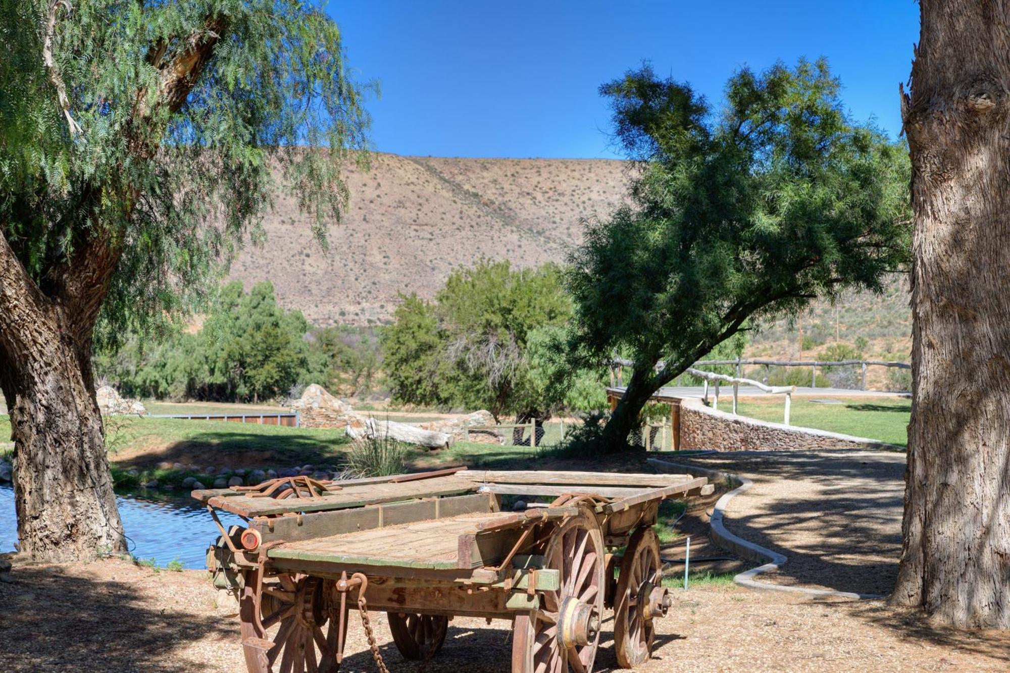 Buccara Wildlife Reserve Graaff-Reinet Kültér fotó